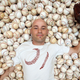 Illustration for article titled Ballhawk Zack Hample Throws Fit Because Someone Else Wanted A Baseball